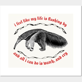 I Feel Like My Life Is Flashing By ∆ Nihilist Anteater Design Posters and Art